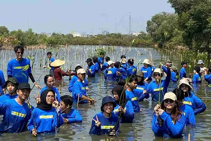 Aksi Penanaman Mangrove Dosen Prodi Manajemen dengan Mahasiswa PMM 3 UPN Veteran Jawa Timur.